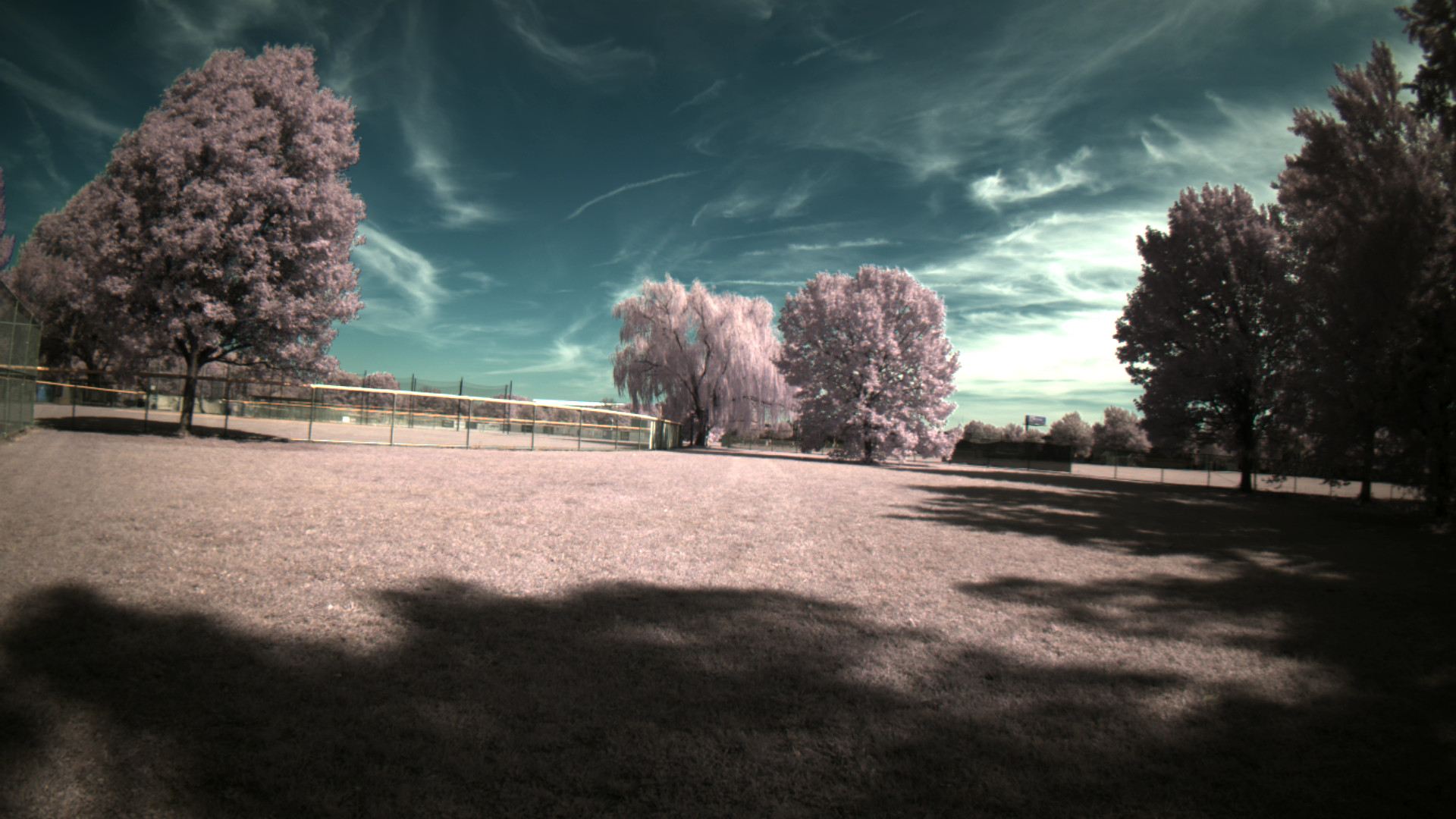 IMX664 Outdoor Sample